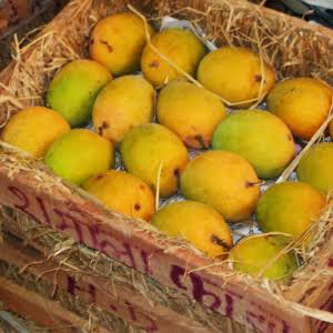 Be careful when you buy yummy looking Mangoes