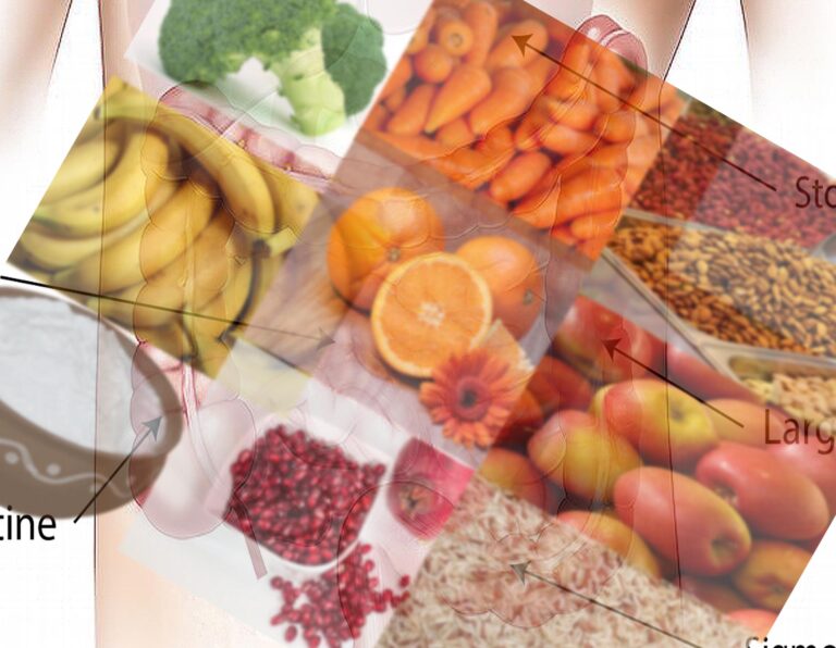 How to Improve your Digestion System,