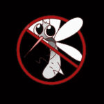 Dengue Fever, Dengue Fever Symptoms,